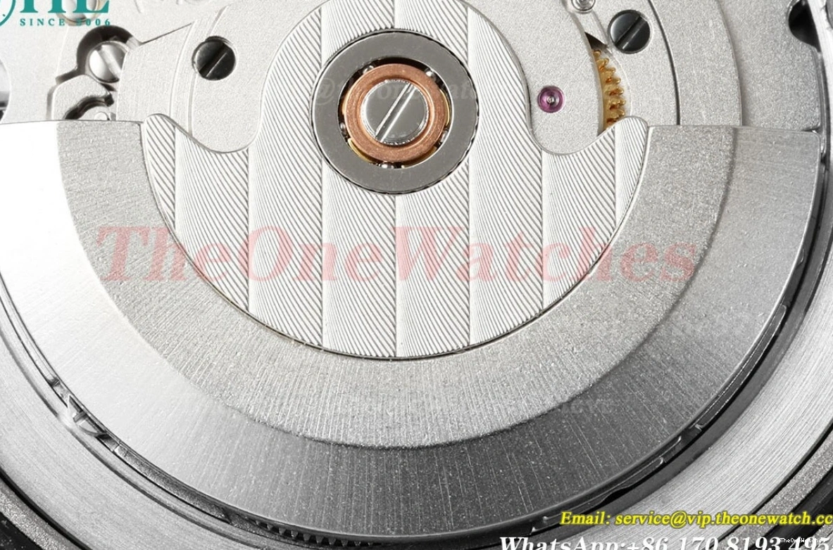 40mm SS Weight) Blue NOOB DayDate Rmn SS A2836(Gain 228239 0422